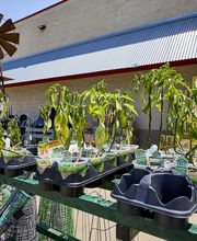 Garden Center Detail Shot