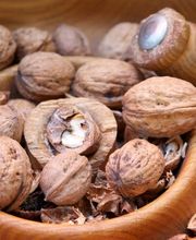 Moulin de Sévery Bild 6