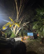 CORSE ELAGAGE image 10