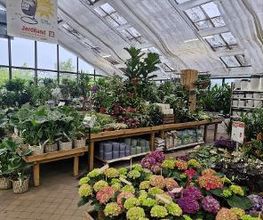 JARDILAND image 3