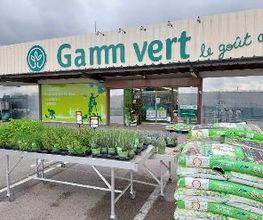 GAMM VERT image 1