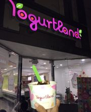 Yogurtland Belmont Shore image 1