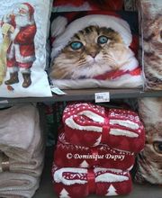 Jardinerie Villaverde image 15