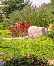 artenGarten GmbH Bild 11