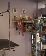 Le Chien Roi image 3