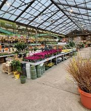 HORNBACH Tuincentrum Groningen afbeelding 5