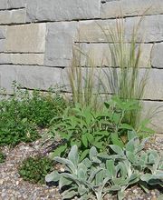 Fabian Klaus Gartenbau Bild 5