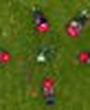 United Kiltrunners e.V. Bild 3