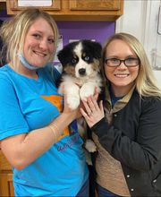 Tellico Bay Animal Hospital LLC image 1