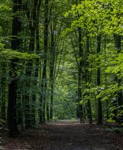 FriedWald Ostfriesland Bild 9