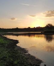 Rites des Bois image 14