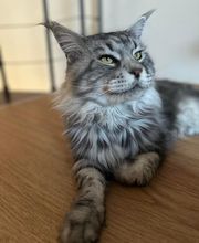 Le CHATel hôtel image 20