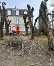 MD Saintrapt image 1