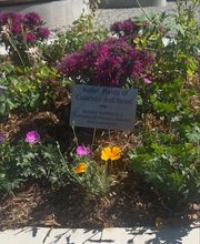 Staenberg-Loup Jewish Community Center image 10