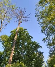 Arnaud Cachin Sàrl Bild 5