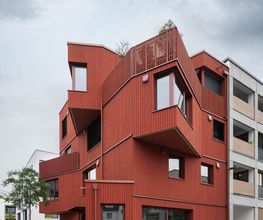20240419-BVH Eckbaum-©Thoma Holz-1.jpg