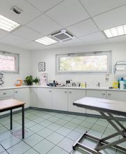 Clinique vétérinaire de la porte des Weppes - Haubourdin - Sevetys image 1