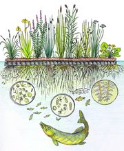 AquaTerra Solutions image 4