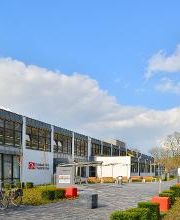 Grafschafter Nachrichten Bild 1