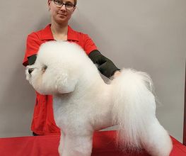 Silke Müller-Rummel Hund & Katz Bild 2