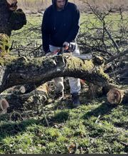 Eifel Cleaning Service Bild 8