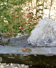 Liebenau Debora gemeinnützige AG Bild 5