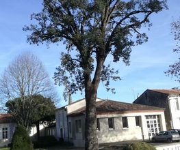 Arbor Elag image 13