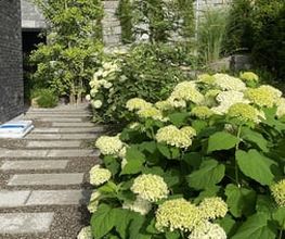 Küng Garten AG Bild 5