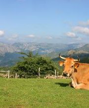 GRANJA ECOLÓGICA CASSOVALL imagen 3