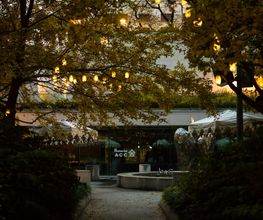 Haus & Gartenservice Bild 2