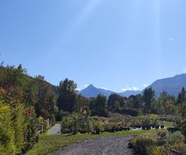 Pépinière des Pyrénées image 20