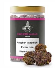 Hanfpost.ch (by Wonderland Trading GmbH) Bild 2