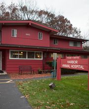 Harbor Animal Hospital image 9