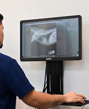 Benitez Animal Hospital image 6