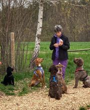 Hundeschule Guggisberg Bild 1
