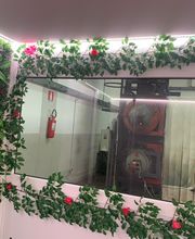 Gallery Cliente