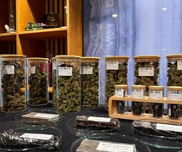 One cbd shop & smoking Lounge Bild 3