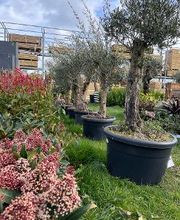 Bricomarché La Loupe image 5