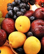 Deville Virginie image 1