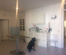 Dr. Anja Peters Bild 4