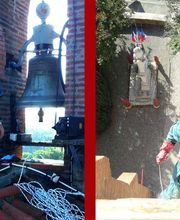 Stop Guêpes & Frelons image 1