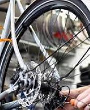 Cicloxxi7.jpg