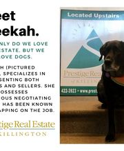 Prestige Real Estate image 8