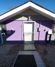 Pet Paradise image 5