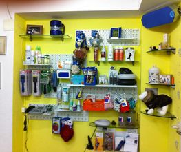 Hundesalon Adonis GmbH Bild 4