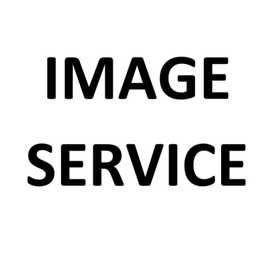 Image Service logo