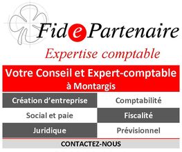 Fidepartenaire Expertise Sas image 2