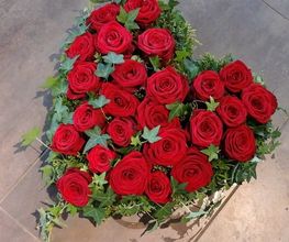 Blumen und Pflanzen Bild 10
