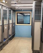 Northgate Animal Hospital image 15