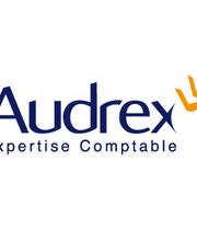 Audrex image 2